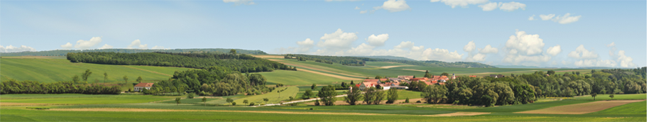 Obergrabern_5+6